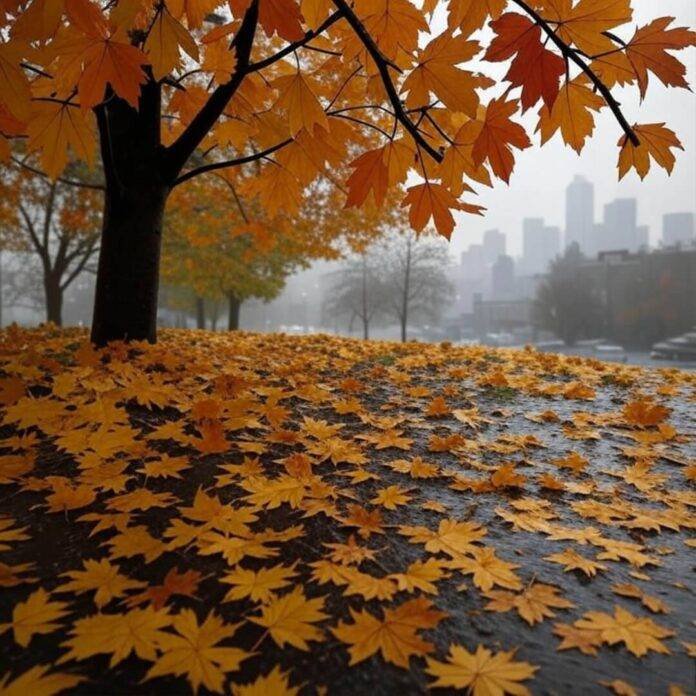 Blurry rainy gold bonds under Seattle leaves.
